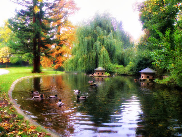 В осеннем парке