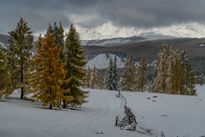 Осень. Конец сентября
