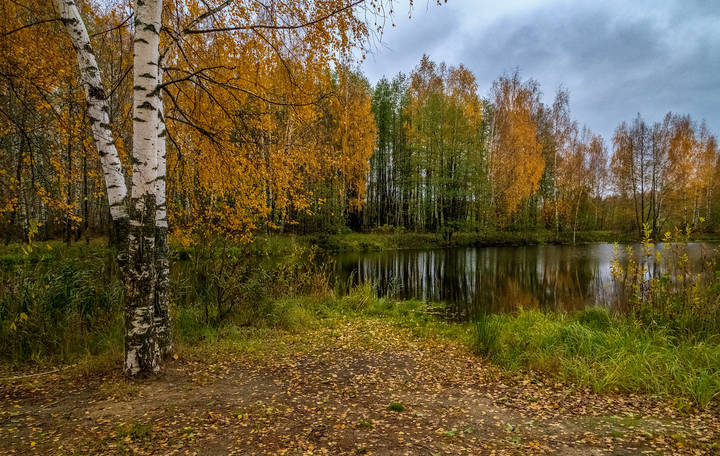 Осень, Октябрь, утро # 05