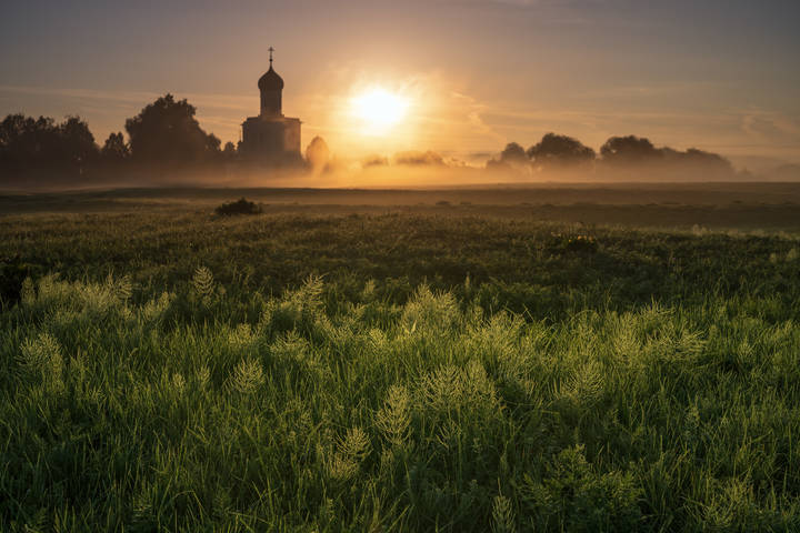 Золотое утро