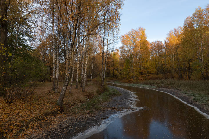 Осенняя грусть