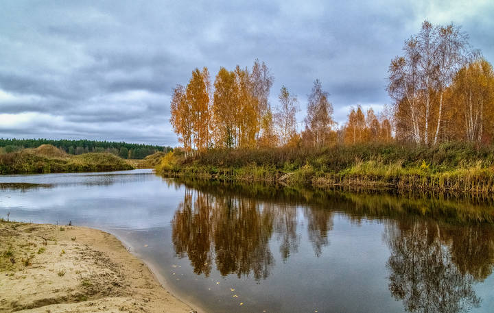 Осень, Октябрь, утро # 08 