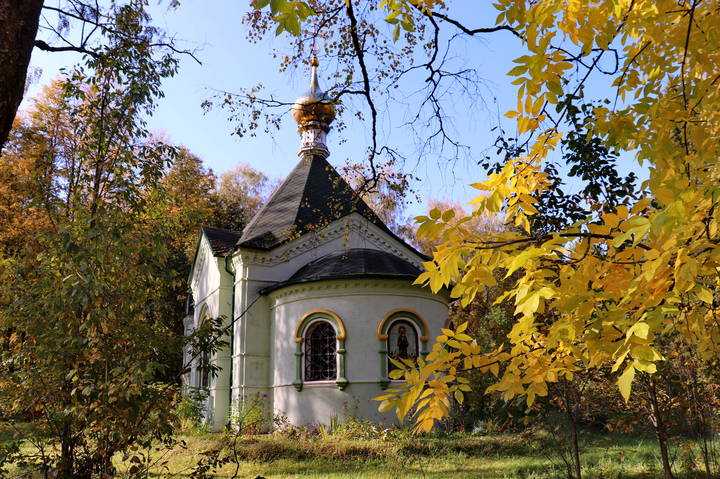 Шуя. Церковь Ксении Петербургской.