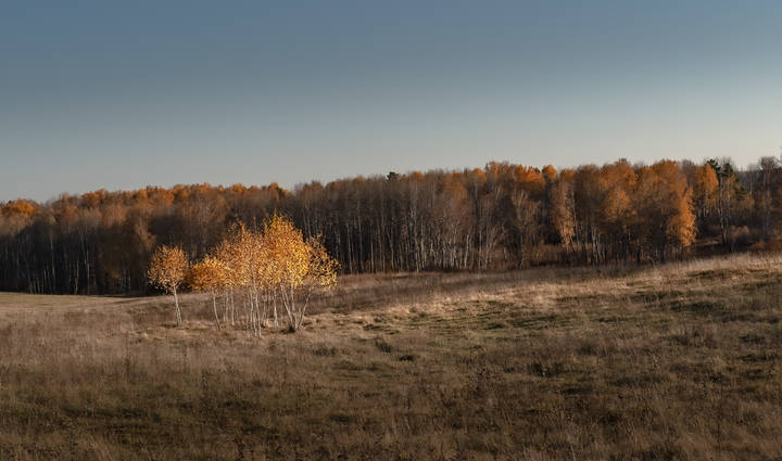 "Подружки".