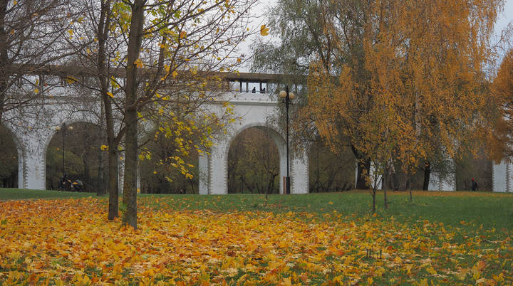 Осень в Городе
