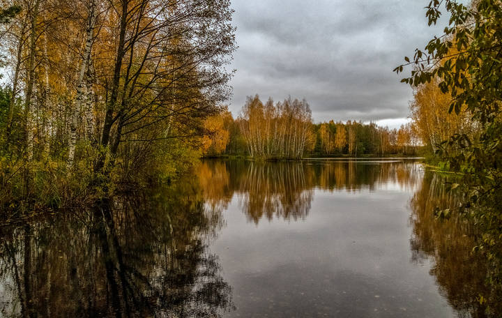Осень, Октябрь, утро # 09 