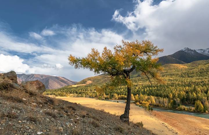Алтайская осень