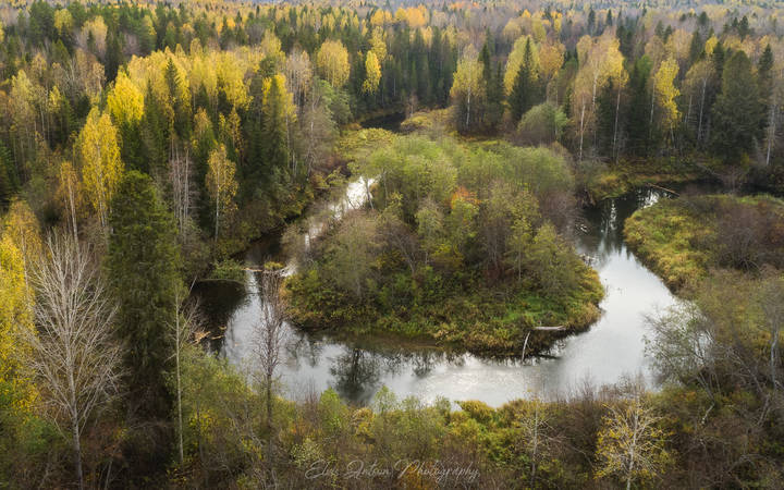 Осенние зарисовки