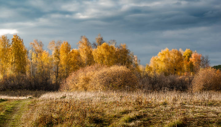 "Золотой запас" осени.