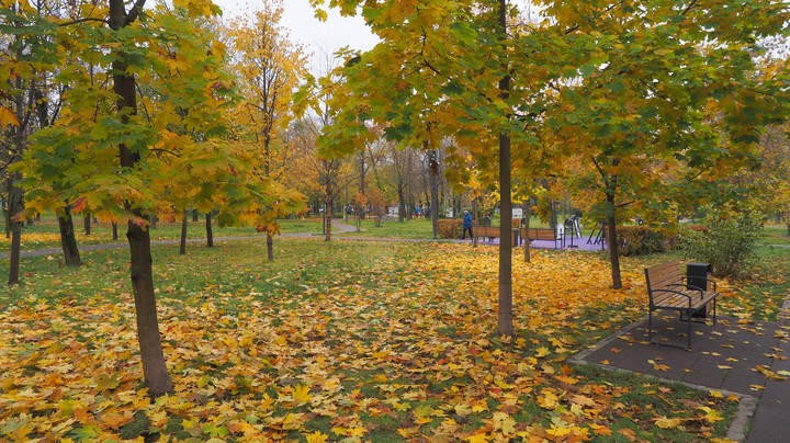 Осенняя Зарисовка