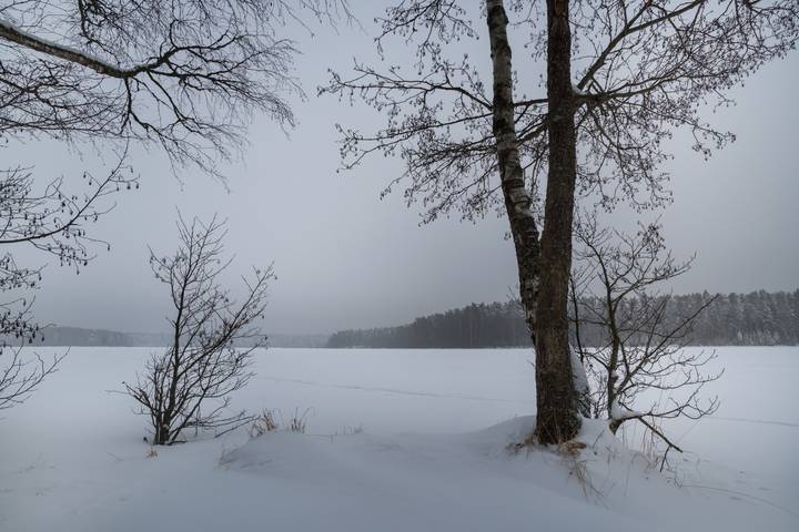 Затянуло