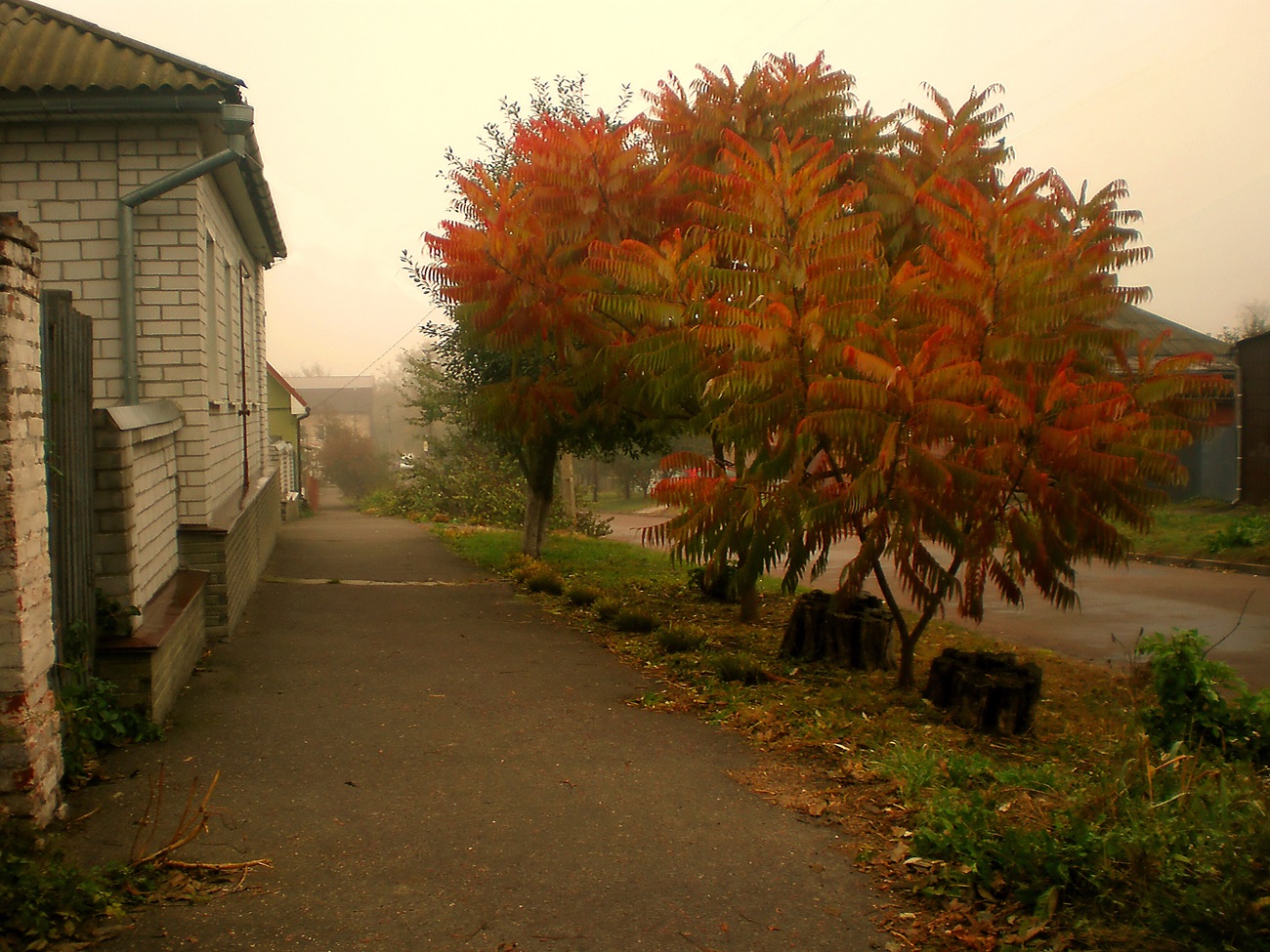 Осень в провинции