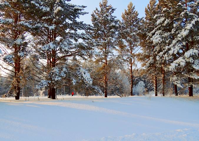 Лыжник
