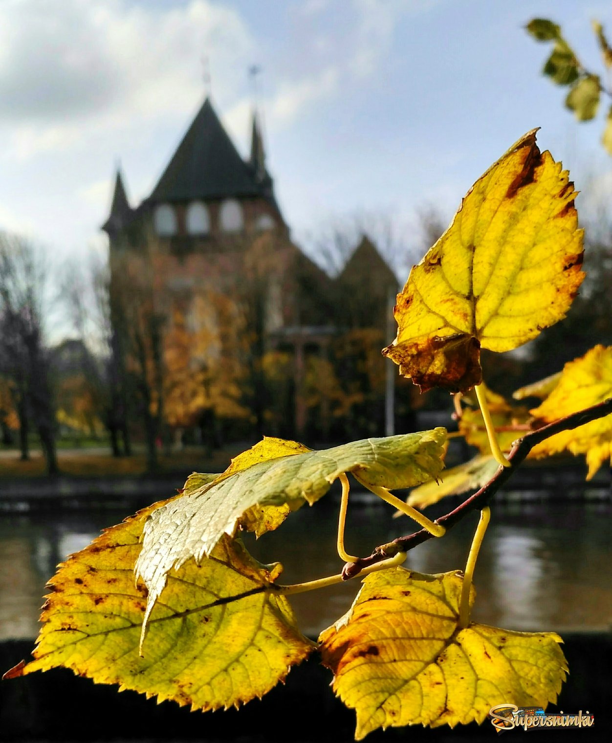 Осень в Калининграде 