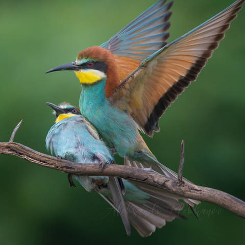 # 1