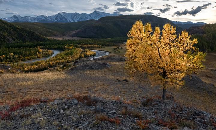В закатных лучах солнца