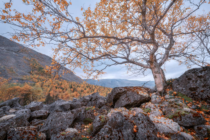 Осень среди камней...