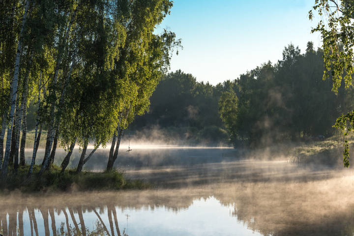 Тарзанка.