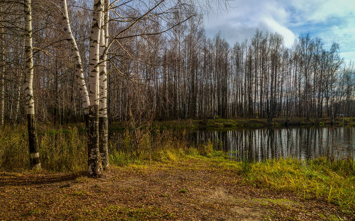 Подмосковный Ноябрь # 12 