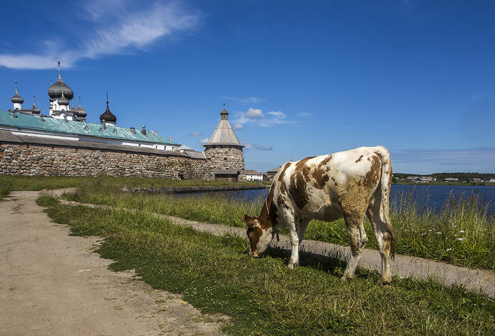 "Соловки"