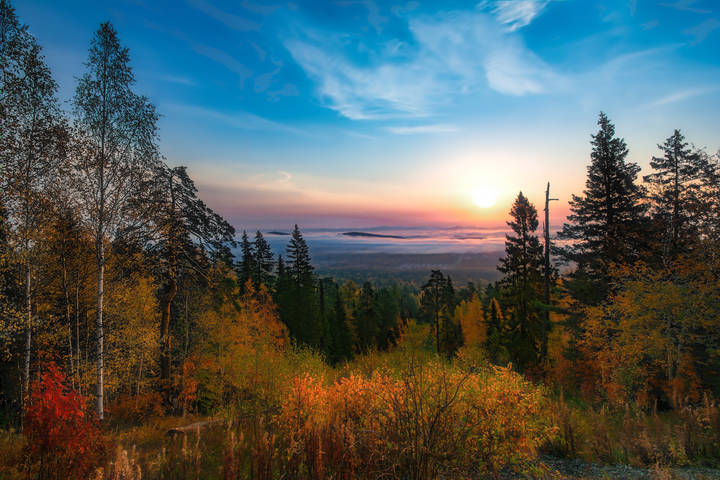 Осеннее разноцветье