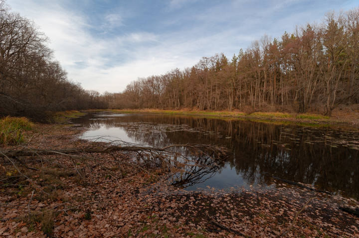 Рыжая осень