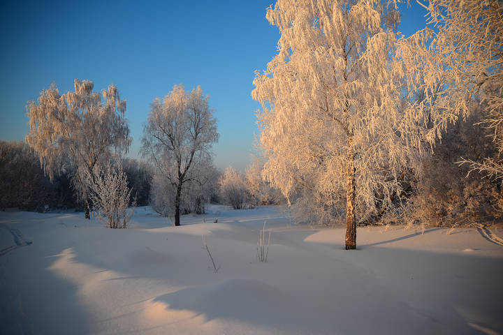 В утренних лучах