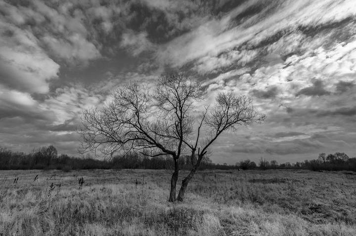 ....