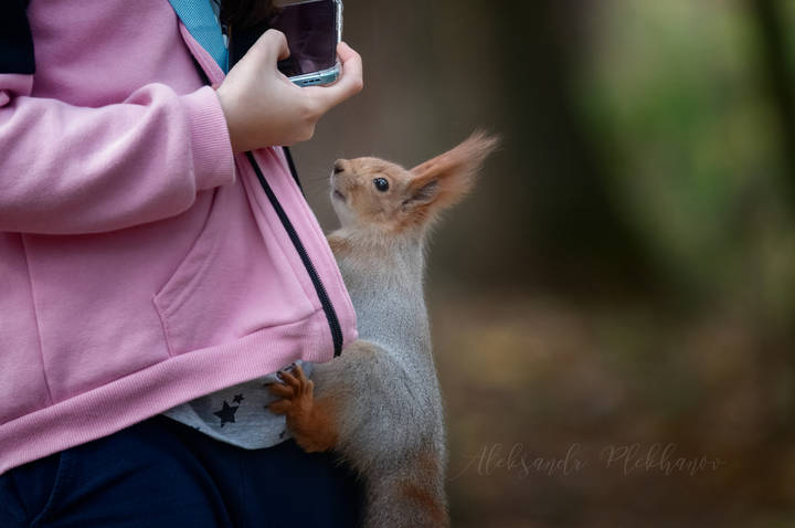Фотомодель