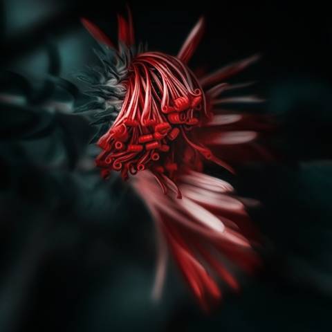Сентябринка