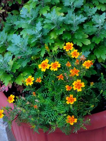 # 6