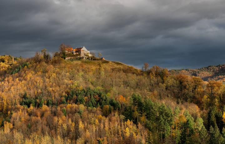 Рыжая осень.