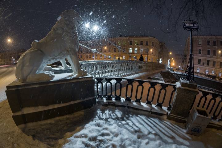 Бенгальские львы