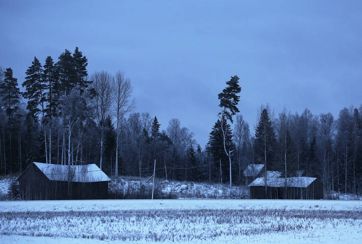 twilight
