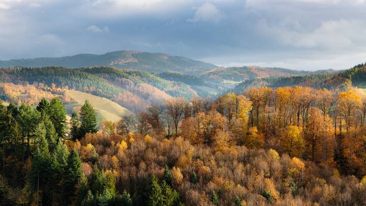 Ещё осень.