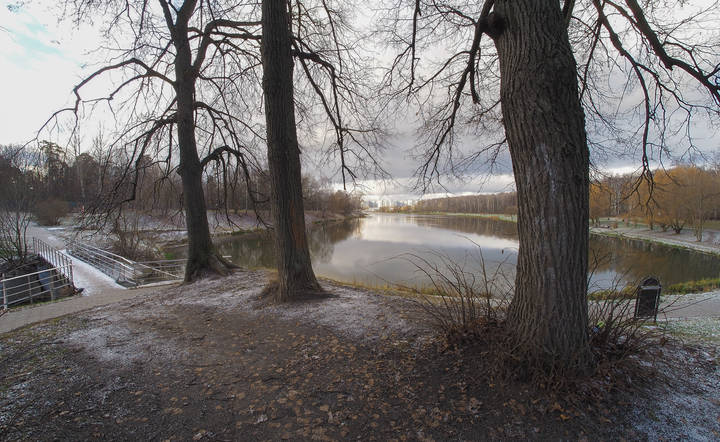 Осенняя Зарисовка