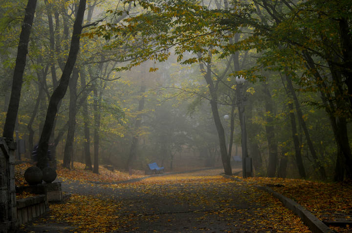 Утром ненастным......