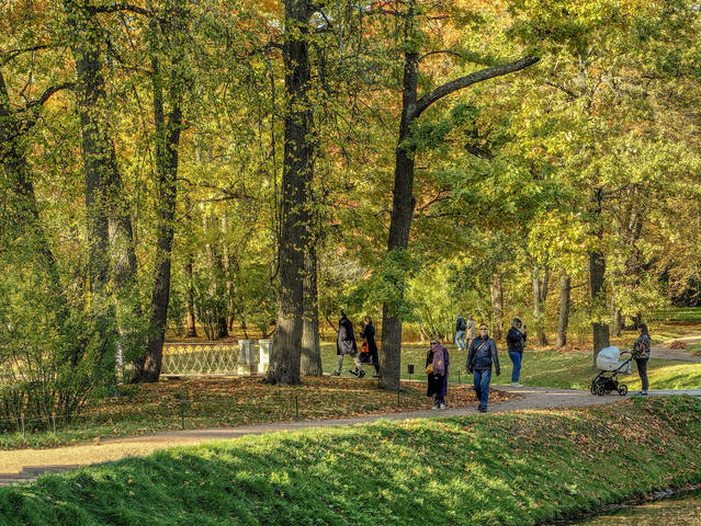 В любимом парке