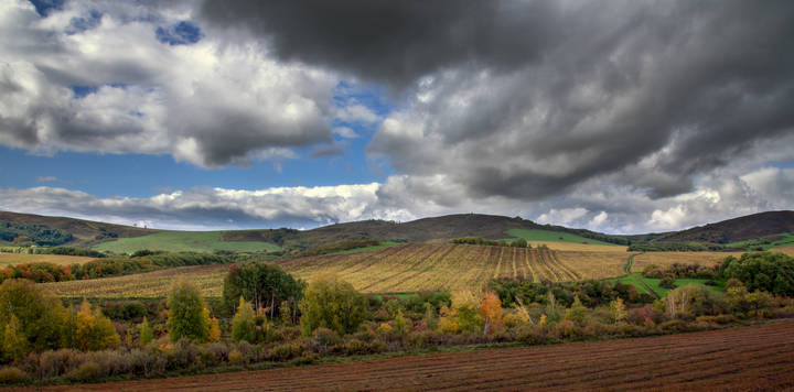 Осень