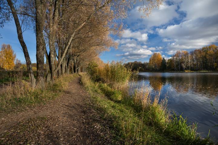 На закате осени