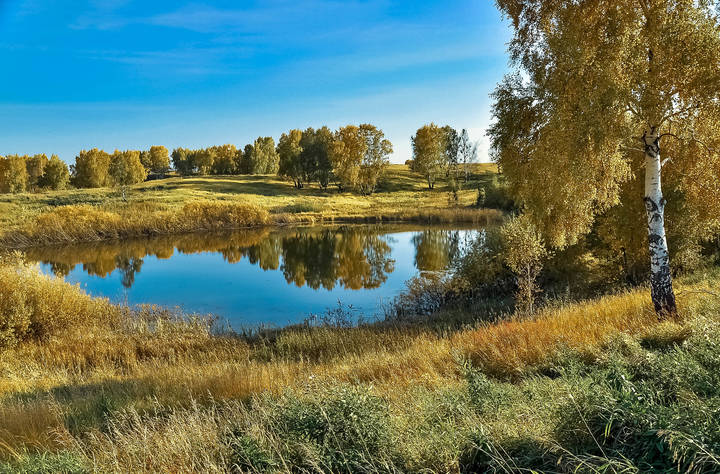 Краски осени.