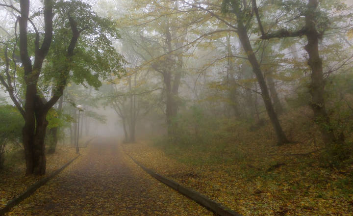 В парке осеннем.......  