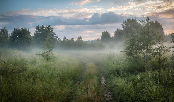 Ранняя дорога