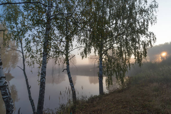 Туманное утро.