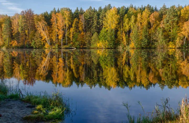 Осенний уголок