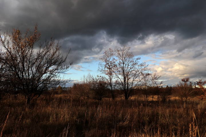  Грустная осень.