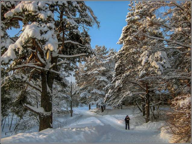 Снежная зима