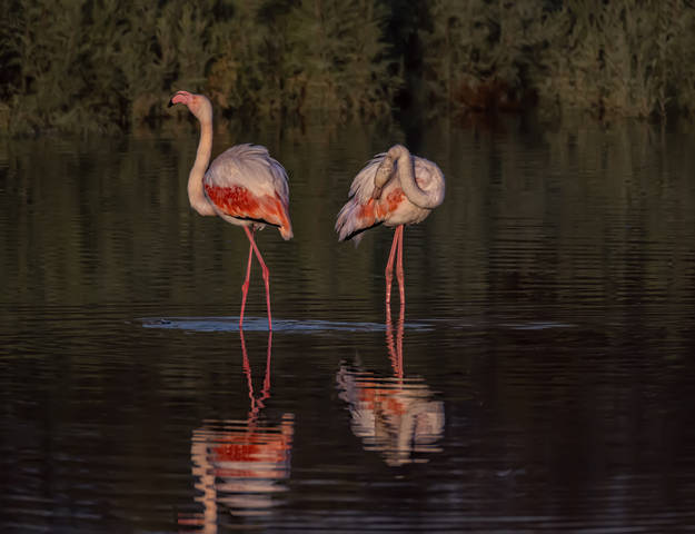 # 1