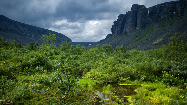 Оазис в арктической пустыне