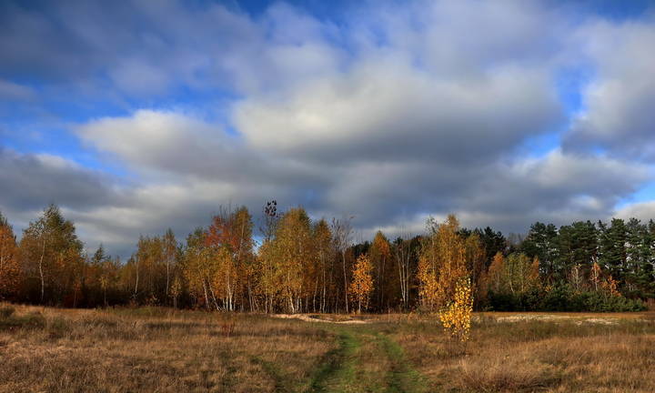  Большая осень.